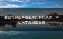 蘑菇视频那些看似不起眼的地方，拼起来才是完整答案