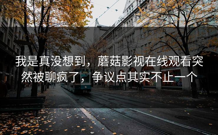 我是真没想到,蘑菇影视在线观看突然被聊疯了,争议点其实不止一个 第1张 我是真没想到,蘑菇影视在线观看突然被聊疯了,争议点其实不止一个 第1张
