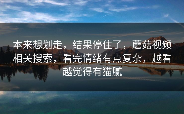 本来想划走,结果停住了,蘑菇视频相关搜索,看完情绪有点复杂,越看越觉得有猫腻 第1张 本来想划走,结果停住了,蘑菇视频相关搜索,看完情绪有点复杂,越看越觉得有猫腻 第1张