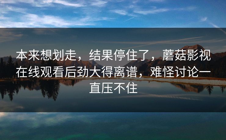 本来想划走，结果停住了，蘑菇影视在线观看后劲大得离谱，难怪讨论一直压不住  第1张