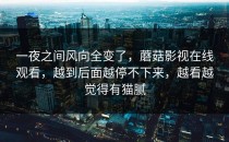 一夜之间风向全变了，蘑菇影视在线观看，越到后面越停不下来，越看越觉得有猫腻