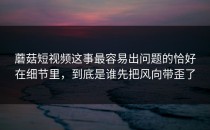 蘑菇短视频这事最容易出问题的恰好在细节里，到底是谁先把风向带歪了