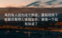 真的有人因为这个熬夜，蘑菇视频下载最近看得人情绪复杂，事情一下就有味道了