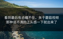 看到最后有点绷不住，关于蘑菇视频那种说不清的上头感一下就出来了