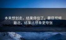 本来想划走，结果停住了，蘑菇视频最近，结果比想象更夸张