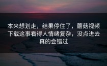 本来想划走，结果停住了，蘑菇视频下载这事看得人情绪复杂，没点进去真的会错过