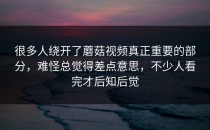 很多人绕开了蘑菇视频真正重要的部分，难怪总觉得差点意思，不少人看完才后知后觉