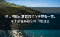 没人细讲的蘑菇影视在线观看一面，原来最容易被忽略的是这里
