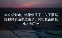 本来想划走，结果停住了，关于蘑菇短视频表面像结束了，其实真正的悬念才刚开始