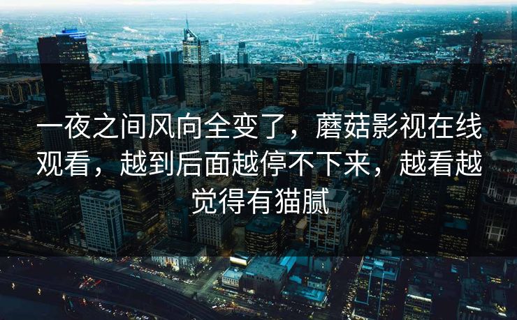 一夜之间风向全变了，蘑菇影视在线观看，越到后面越停不下来，越看越觉得有猫腻  第1张