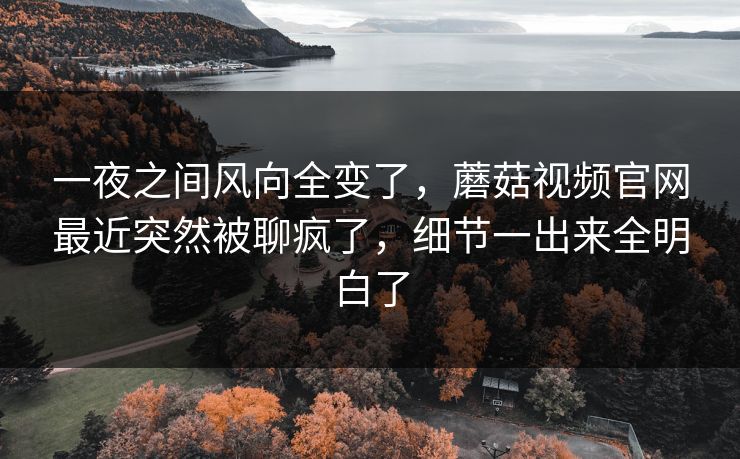 一夜之间风向全变了,蘑菇视频官网最近突然被聊疯了,细节一出来全明白了 第1张 一夜之间风向全变了,蘑菇视频官网最近突然被聊疯了,细节一出来全明白了 第1张