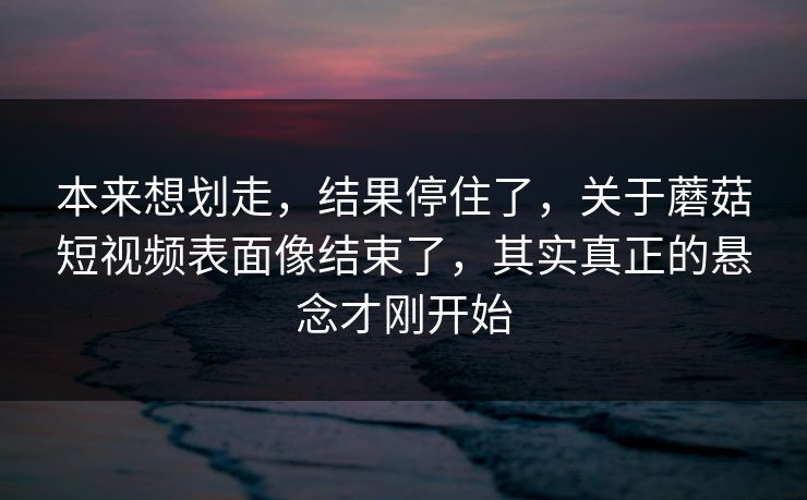 本来想划走，结果停住了，关于蘑菇短视频表面像结束了，其实真正的悬念才刚开始  第1张