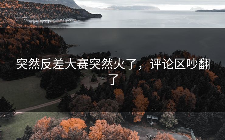 突然反差大赛突然火了,评论区吵翻了 第1张 突然反差大赛突然火了,评论区吵翻了 第1张