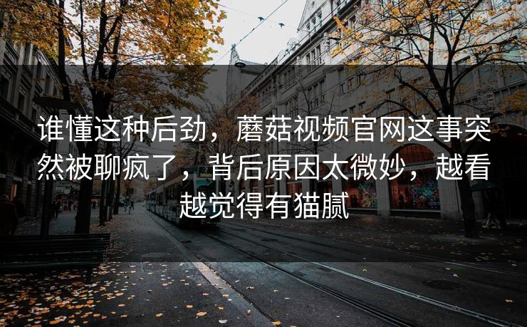 谁懂这种后劲,蘑菇视频官网这事突然被聊疯了,背后原因太微妙,越看越觉得有猫腻 第1张 谁懂这种后劲,蘑菇视频官网这事突然被聊疯了,背后原因太微妙,越看越觉得有猫腻 第1张