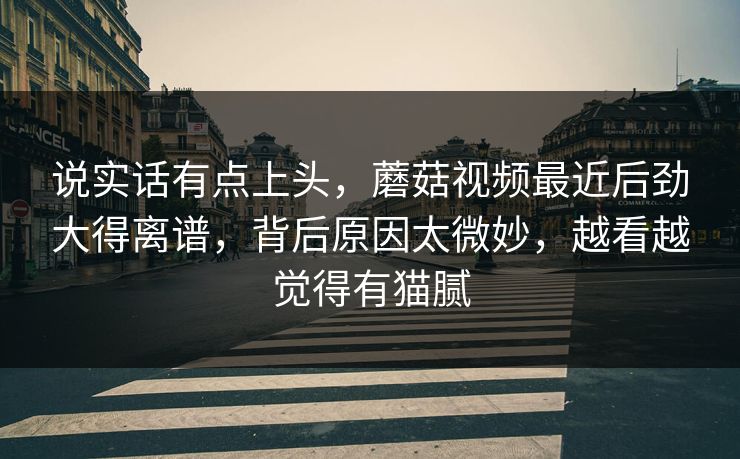 说实话有点上头,蘑菇视频最近后劲大得离谱,背后原因太微妙,越看越觉得有猫腻 第1张 说实话有点上头,蘑菇视频最近后劲大得离谱,背后原因太微妙,越看越觉得有猫腻 第1张