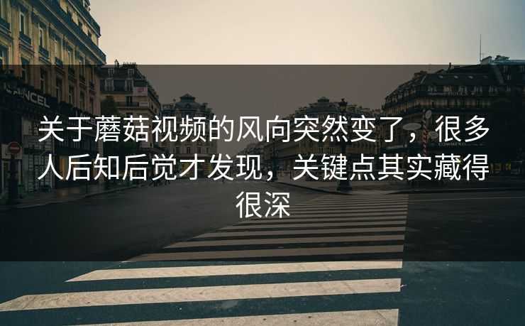 关于蘑菇视频的风向突然变了，很多人后知后觉才发现，关键点其实藏得很深  第1张
